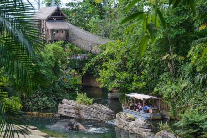 Emmen: Wildlands Adventure Zoo and Rimbula River Cruise - Experience in Serenga and Nortica