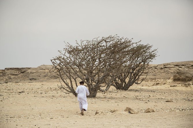 Empty Quarter and a Lost City - Discovering the Lost City of Ubar