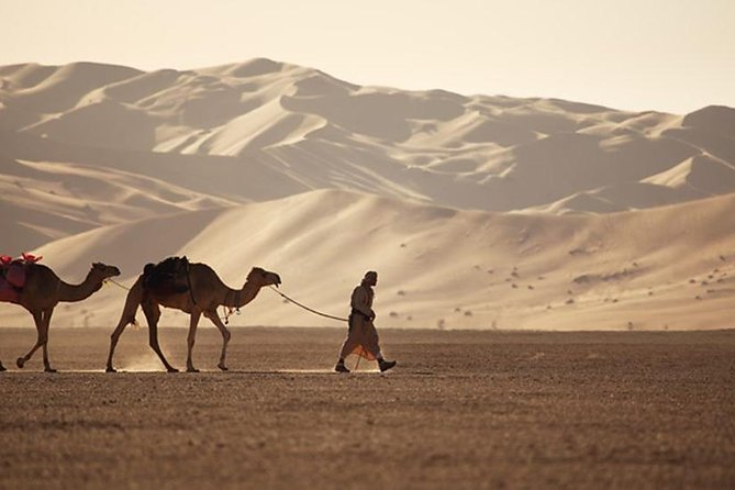 Empty Quarter & Lost City From Salalah - Reviews