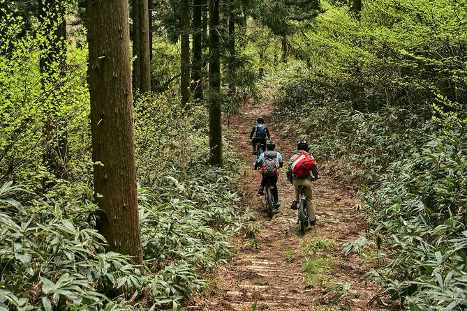 Emtb Tour to See the Beautiful Islands From the Summit - Product Details and Pricing