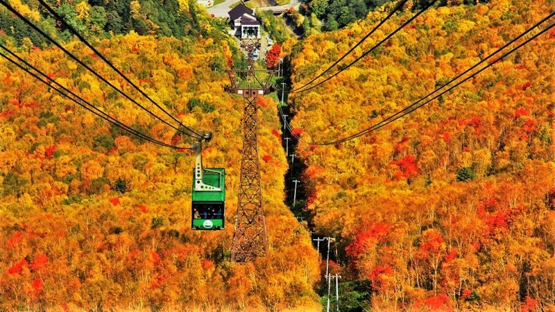 EN/CN | Kurodake Ropeway, Asahiyama Zoo, with Ramen 1D Bus | Hokkaido - The useful details at a glance
