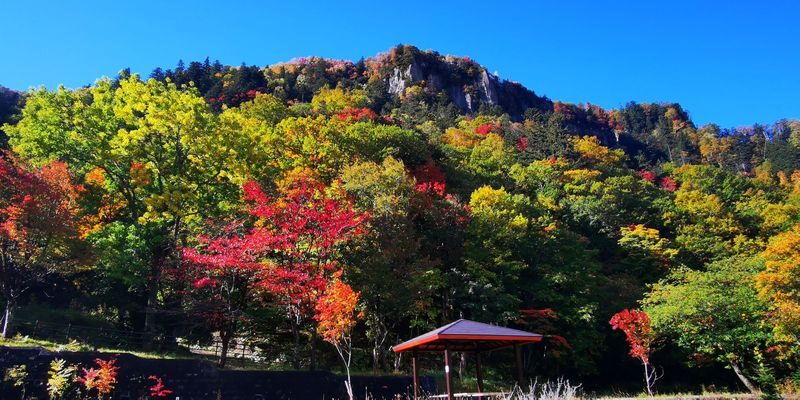 EN/CN | Kurodake Ropeway, Asahiyama Zoo, with Ramen 1D Bus | Hokkaido - Kurodake: a mountain ride worth planning around