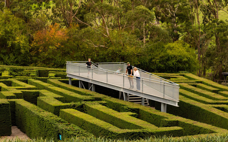 Enchanted Adventure Ticket on the Mornington Peninsula - Decide if Tree Surfing fits your day