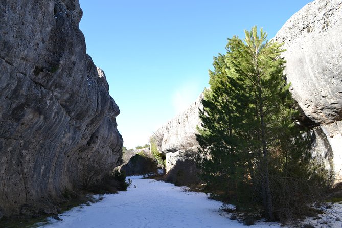 Enchanted City Express - Reviews From Viator and Tripadvisor