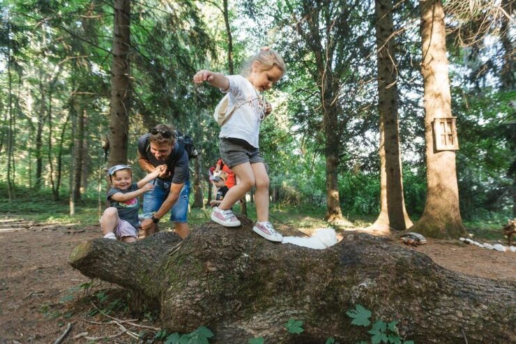 Enchanted Forest Family Avdenture in Lake Bled - Guided Exploration and Itinerary