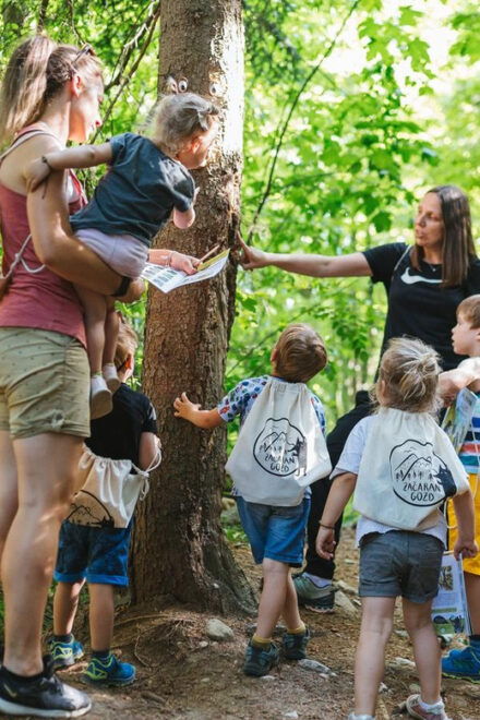 Enchanted Forest Family Avdenture in Lake Bled - Teamwork and Creative Activities