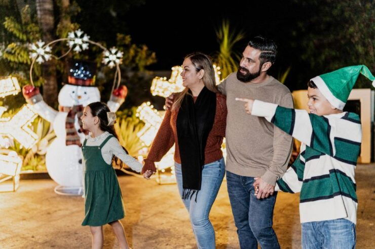 Enchanted Holiday Walk: Phoenix's Festive Delight - Activity Highlights