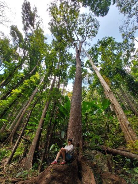 Enchanted Philippines - 10 Days of Adventure. - Included Activities in Bohol