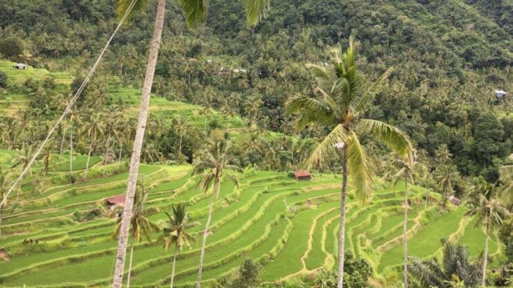 Enchanting Bali Adv : Sekumpul and Fiji Waterfall Expedition - Good To Know