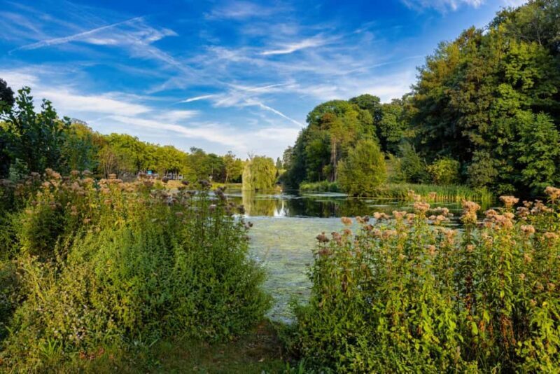 Enchanting Brussels Private Tour: History & Culture Unveiled - The Sum Up