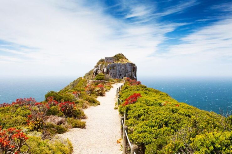 Enchanting Cape Point & Boulder's Penguin Adventure - Inclusions and Highlights