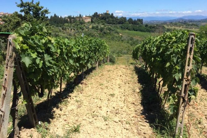 Enchanting Castles With Lunch and Wine Tour - Accessibility Information