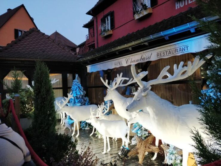 Enchanting Christmas Experience From Colmar - Experience Highlights