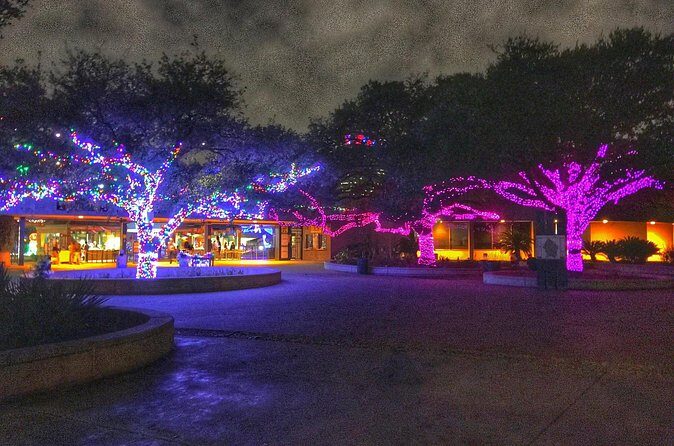 Enchanting Christmas Private Tour in Magical Houston - The Sum Up: Who Will Love This Tour?