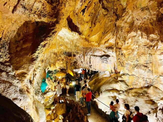 Enchanting Evenings: Tour and Dine in the Mira De Aire Caves - Authentic Portuguese Cuisine Menu