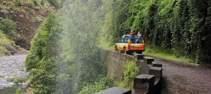 Enchanting Fanal Forest and Volcanic Pools, Unspoiled Wonder - Scenic Jeep Tour Experience