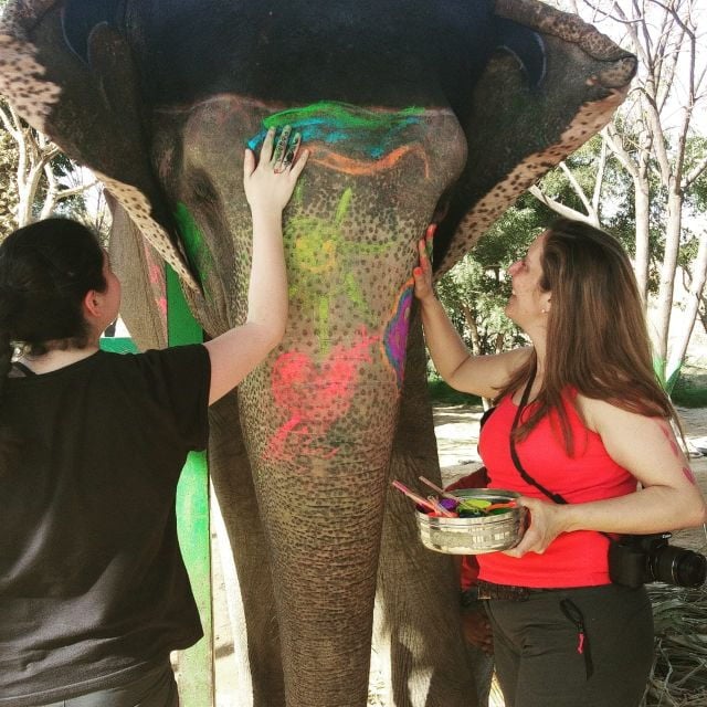 Enchanting Golden Triangle With Goa 8N 9Days - Inclusions and Exclusions