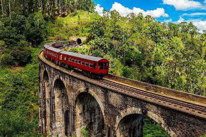 Enchanting Guided Day Tour In Ella - An In-Depth Look at the Itinerary