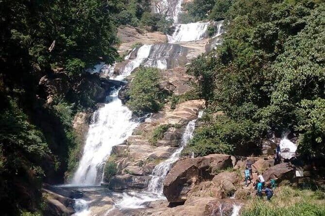 Enchanting Guided Day Tour In Ella - Final Thoughts: Who Should Consider This Tour?