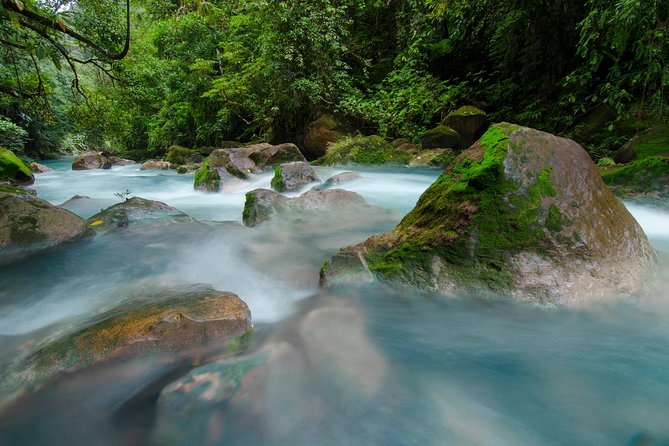 Enchanting Rio Celeste Trek: Unforgettable Rainforest Adventure - Trekking Through Tropical Rainforest