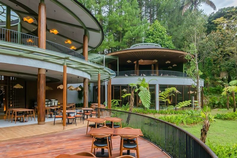 Enchanting Valley Ticket in Bogor - Tree Top Trail, nets, and the park’s open spaces