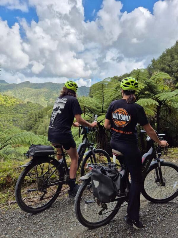 Enchanting Waitomo: Ride, Revel and Radiate on our eBikes - Starting Point and Arrival