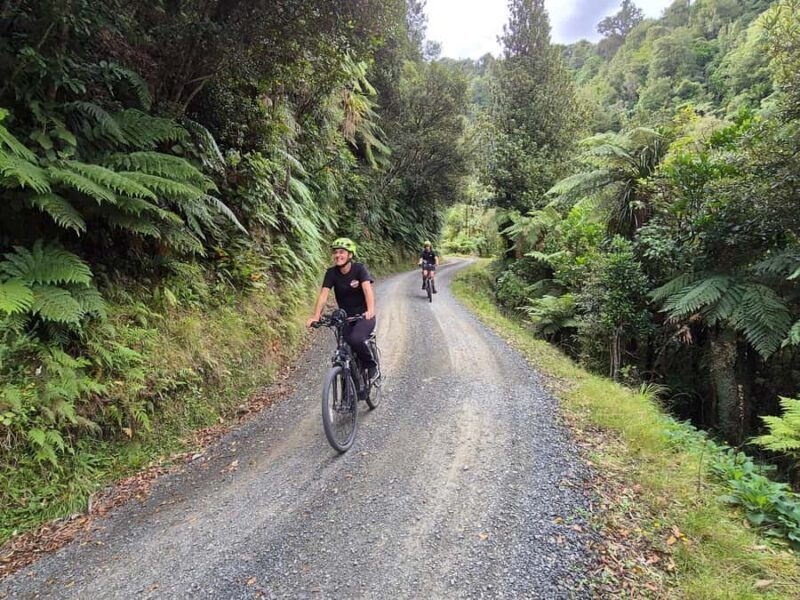 Enchanting Waitomo: Ride, Revel and Radiate on our eBikes - Native Forest Bush Walk