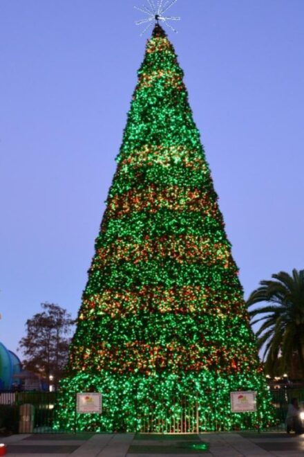 Enchantment and Elation: A Disney Springs Christmas - Immerse in Festive Decorations