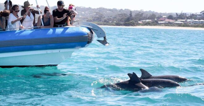 Encounter Bay: Southern Ocean Adventure Cruise - Important Considerations