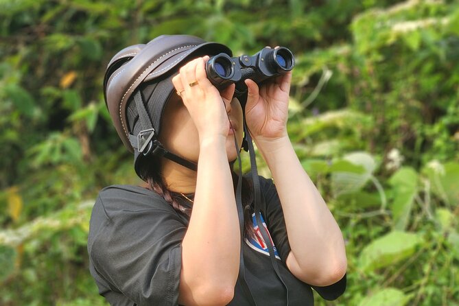 Endangered Monkeys Watching - Red Shanked Douc Langurs - Behavior and Social Structure