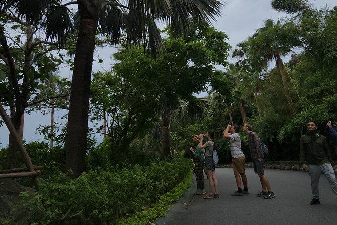 Endangered Monkeys Watching - Red Shanked Douc Langurs - Threats and Conservation Status