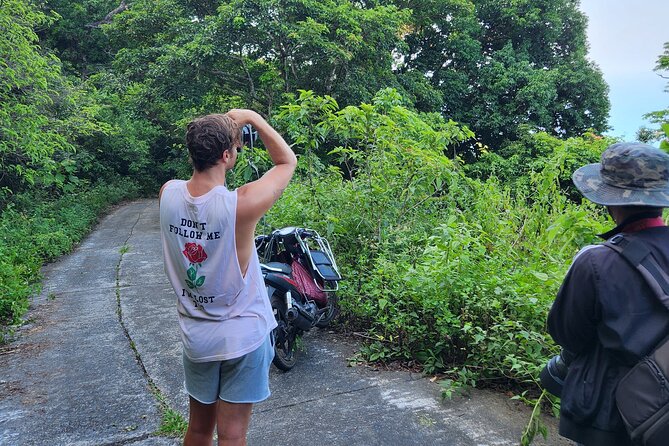 Endangered Monkeys Watching - Red Shanked Douc Langurs - The Sum Up