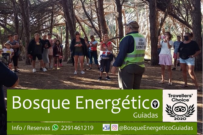 Energetic Forest: Guided Tour - Tour Overview
