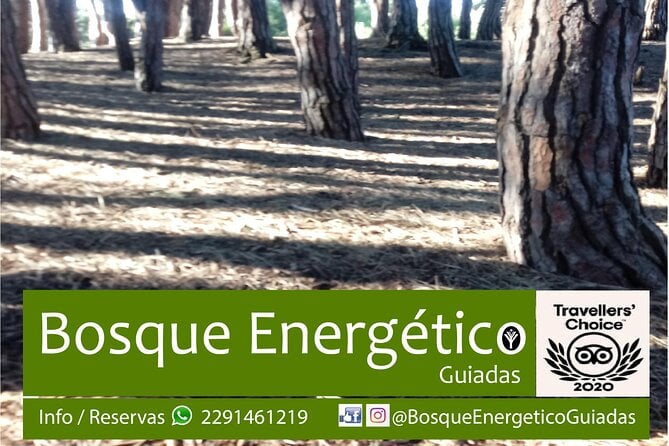 Energetic Forest: Guided Tour - Location Details