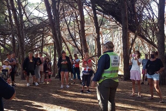 Energy Forest Experience - Good To Know