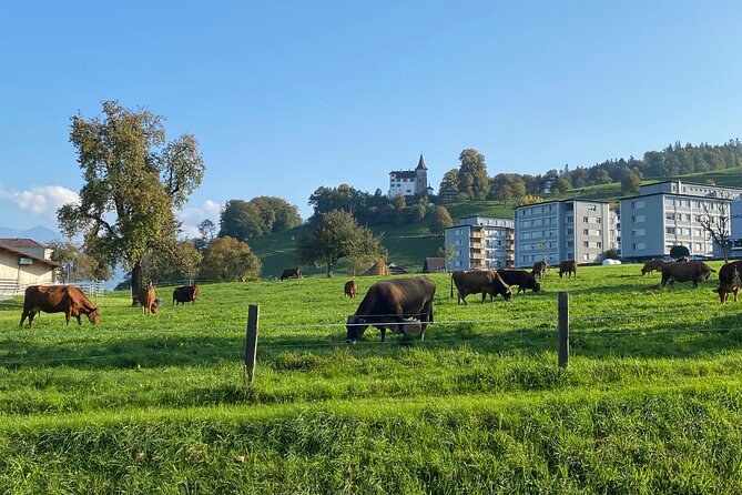 Engelberg Private Tour to Mt. Pilatus and Lake of Lucerne Cruise - Price and Booking Details