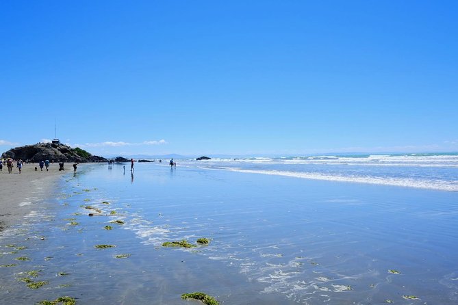 [English Guide] Christchurch Scenic Tour (1 Day Tour) - Tour Details