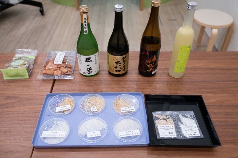 English Guided Tour: Explore Kyoto Fushimis Century-Old Sake Brewery | Famous Water Brewing Process + Selected Sake Tasting - Why Fushimi water matters at Yamamoto Honke
