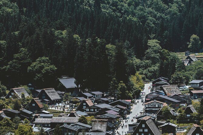 ENGLISH SPEAKING GUIDE - Private Half-Day Tour to Shirakawago - Authentic Experiences and Local Insights