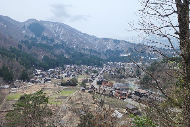 ENGLISH SPEAKING GUIDE - Private Half-Day Tour to Shirakawago - Analyzing the Cost and Value