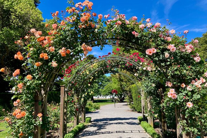 [English Translation] Christchurch Exploration Tour - Refund and Change Policy