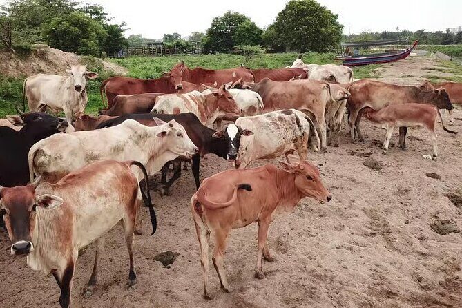 Enjoy 10 cultural activities of India all at one place in Delhi - Authenticity and Personal Touch