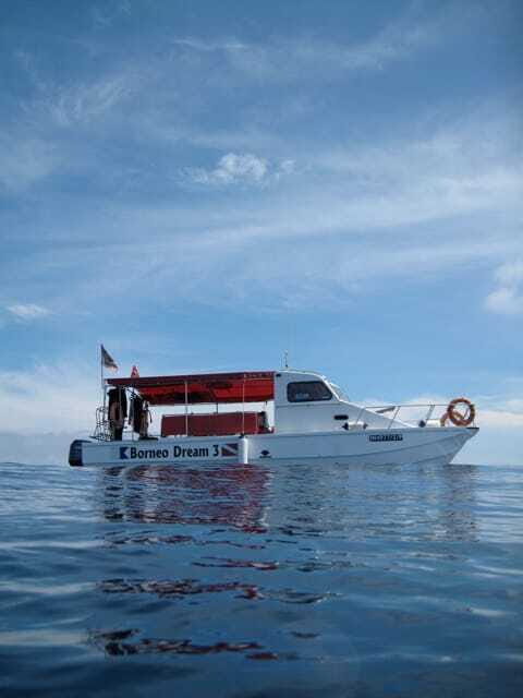 Enjoy 3 Fun Dives in Kota Kinabalu | Certified Divers - Who Will Love This Tour?