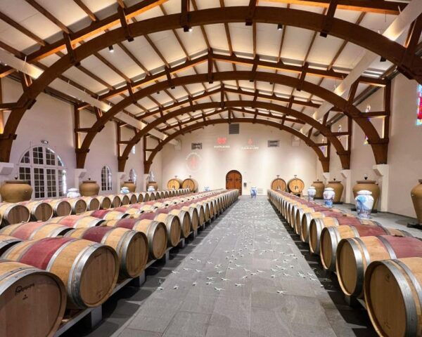 Enjoy a Day Discovering Two Famous Bordeaux Wine Regions - The Sum Up