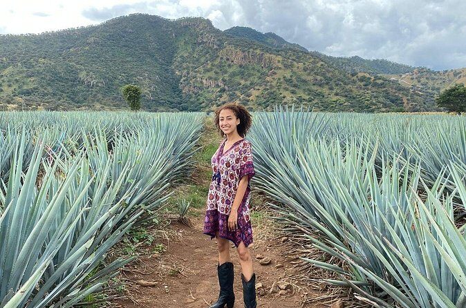 Enjoy a full day on the Tequila and Amatitan route - FAQs