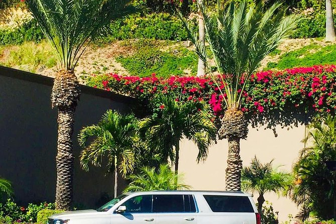 Enjoy a Hassle-Free Trip With Our Transportation Services. - Cabo San Lucas - Meeting and Pickup Options