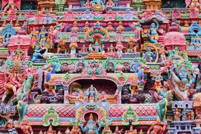 Enjoy a one-day leopard safari in Wilpattu or Yala. - Exploring the Safari Experience