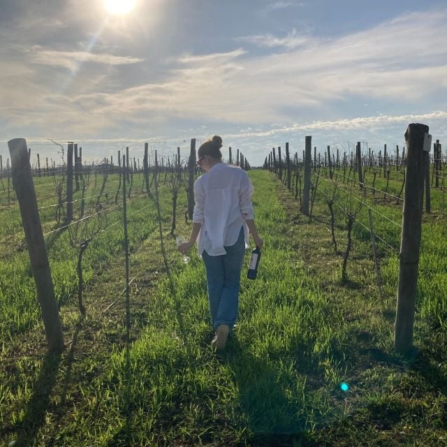 Enjoy a Rural Experience in a Vineyard Near Buenos Aires - Gourmet Dining in a Picturesque Setting