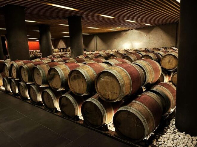 Enjoy a Unique All Day Wine Tasting Tour in Nemea - Includes