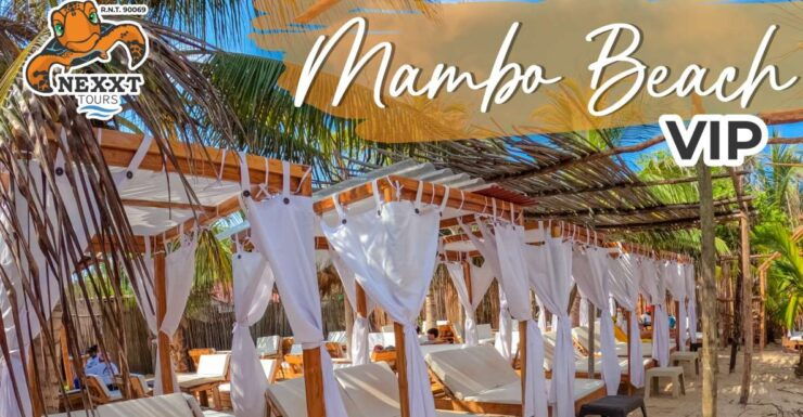 Enjoy a Vip Beach Day in Playa Blanca - Highlights and Benefits